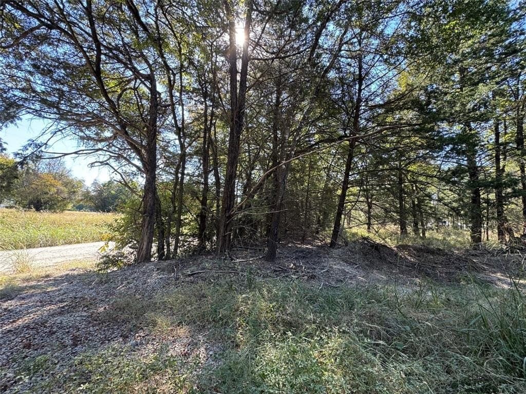 10 acres in Navarro County featured view