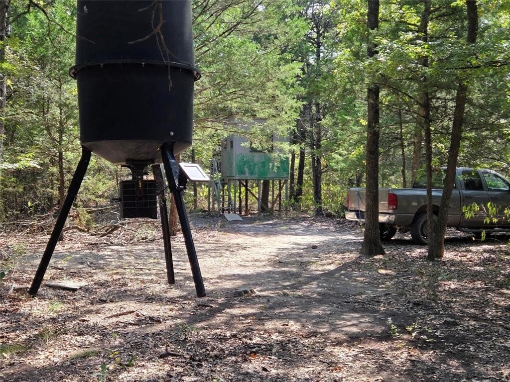 10 acres in Navarro County gallery image 4