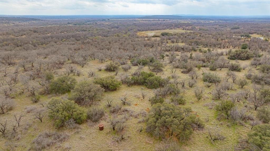 35.95 acres in Stephens County gallery image 4