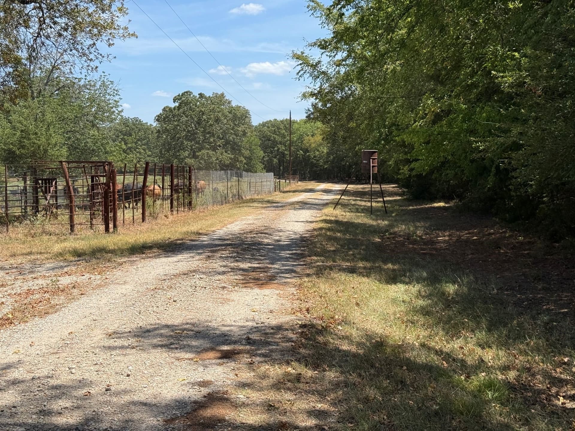 6.79 acres in Smith County - photo 14