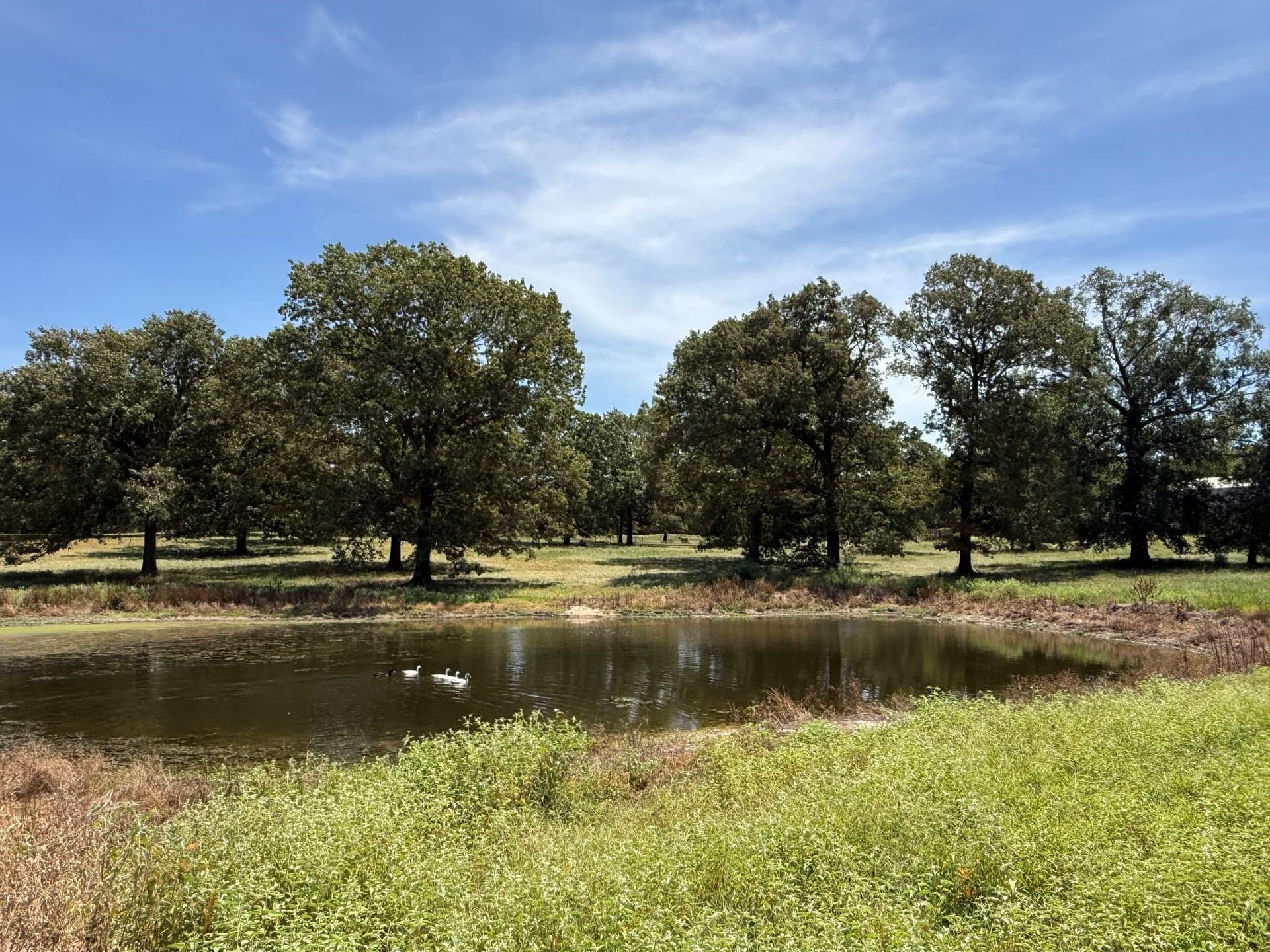 6.79 acres in Smith County - photo 19