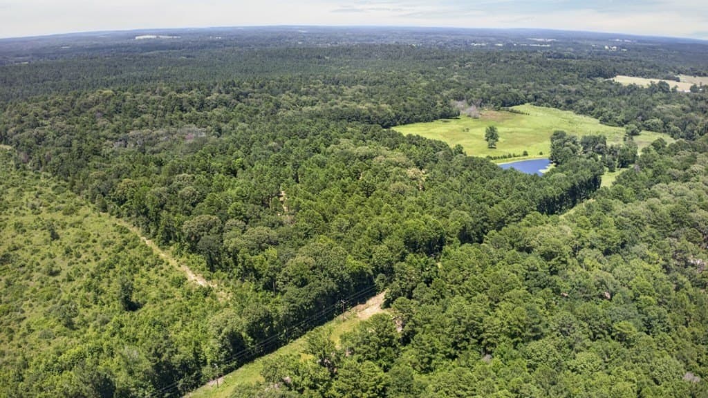 24.87 acres in Texas County featured view