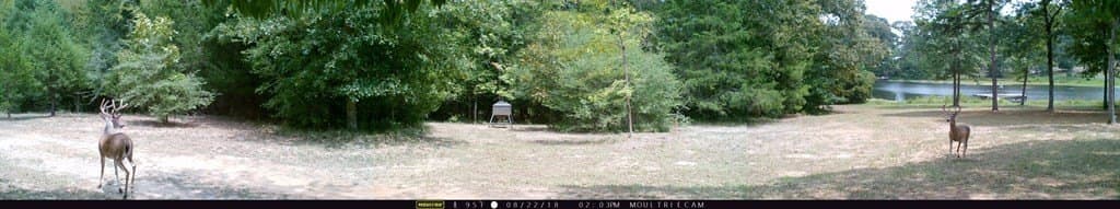 24.87 acres in Texas County - photo 46