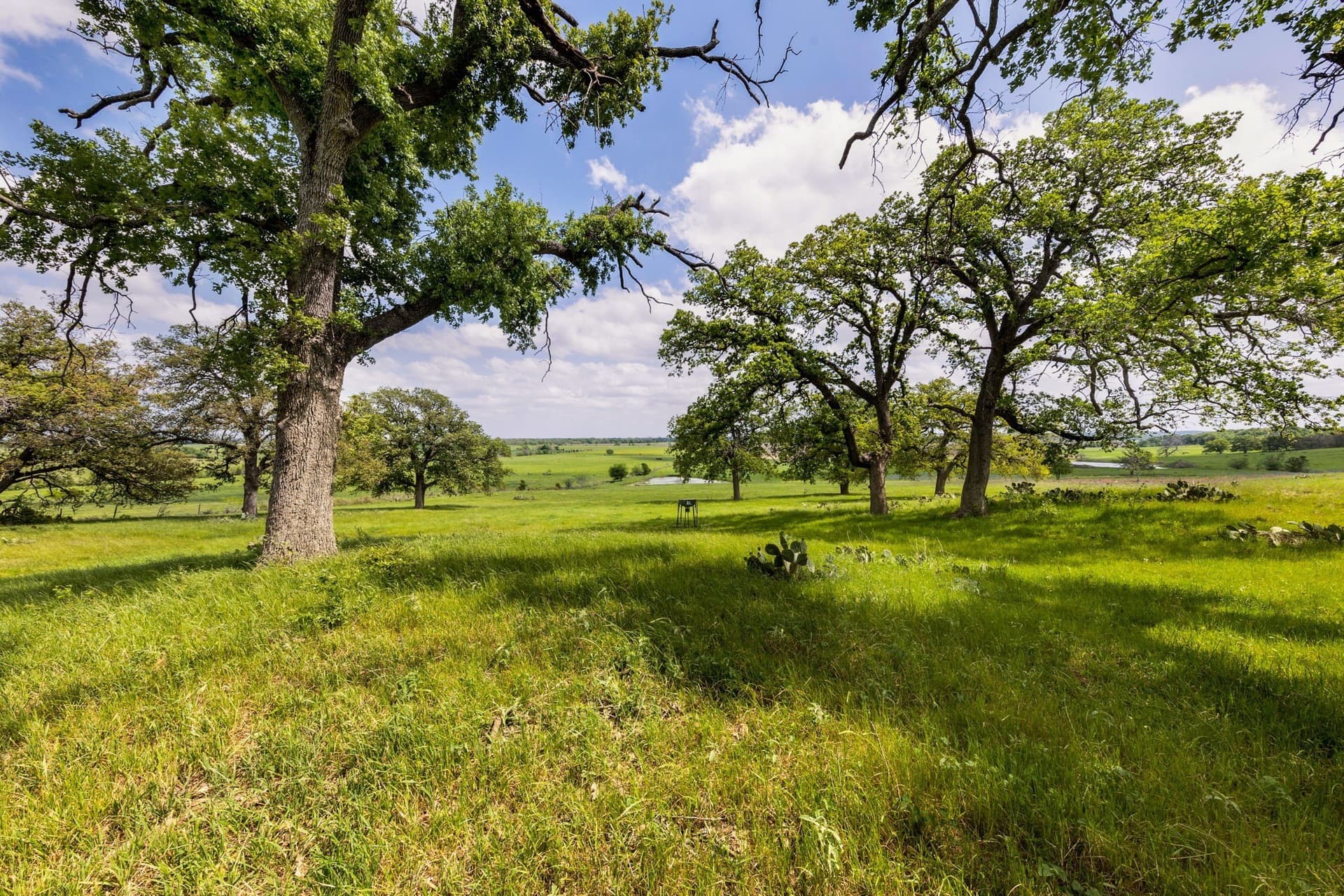45.68 acres in Milam County - photo 30