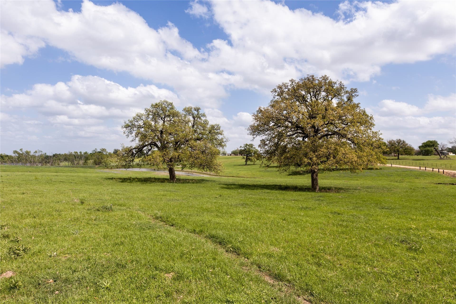 45.68 acres in Milam County - photo 29