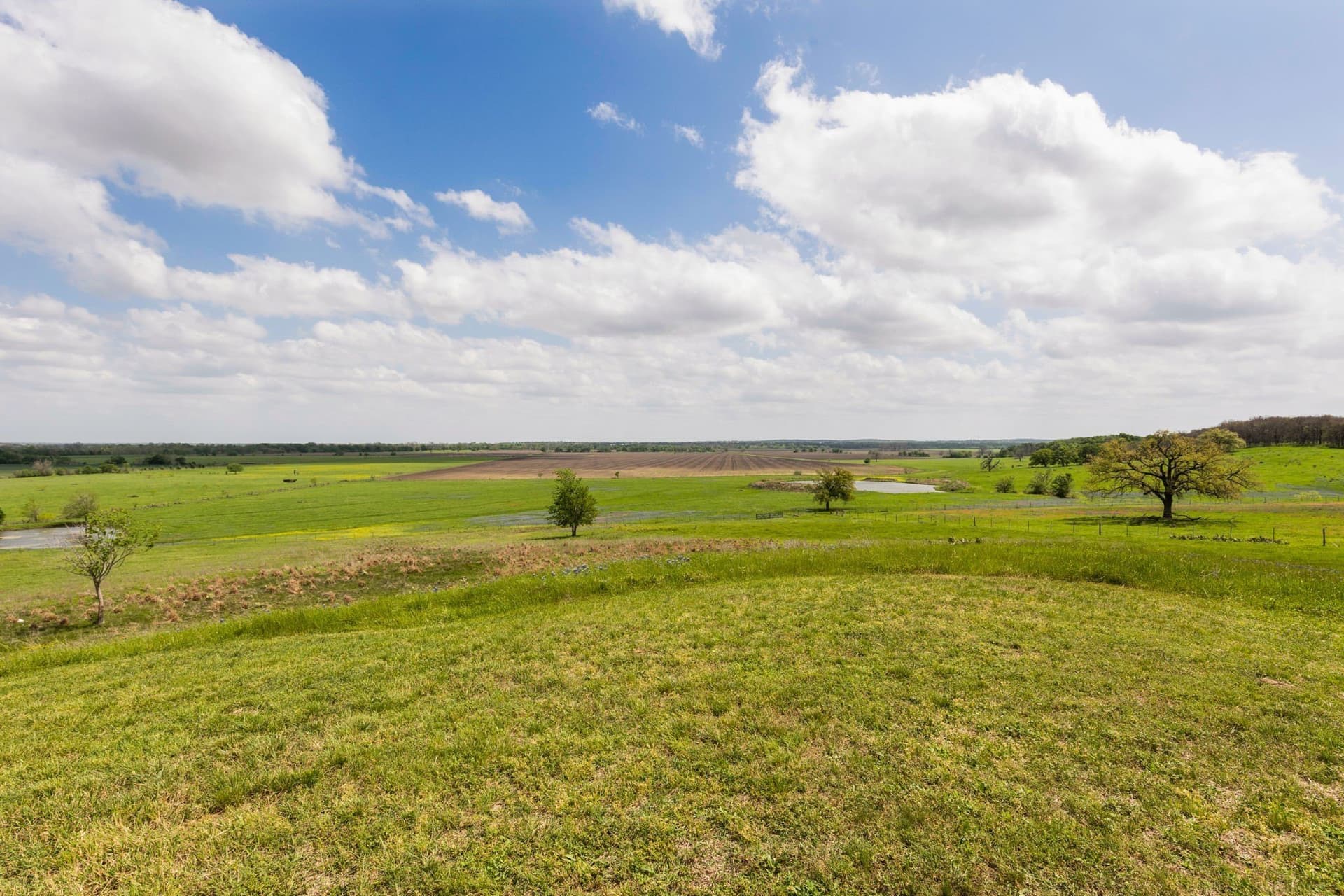 45.68 acres in Milam County - photo 31