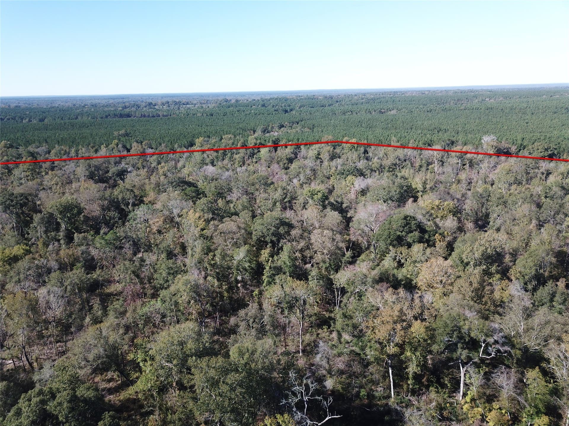 165.12 acres in Angelina County - photo 3