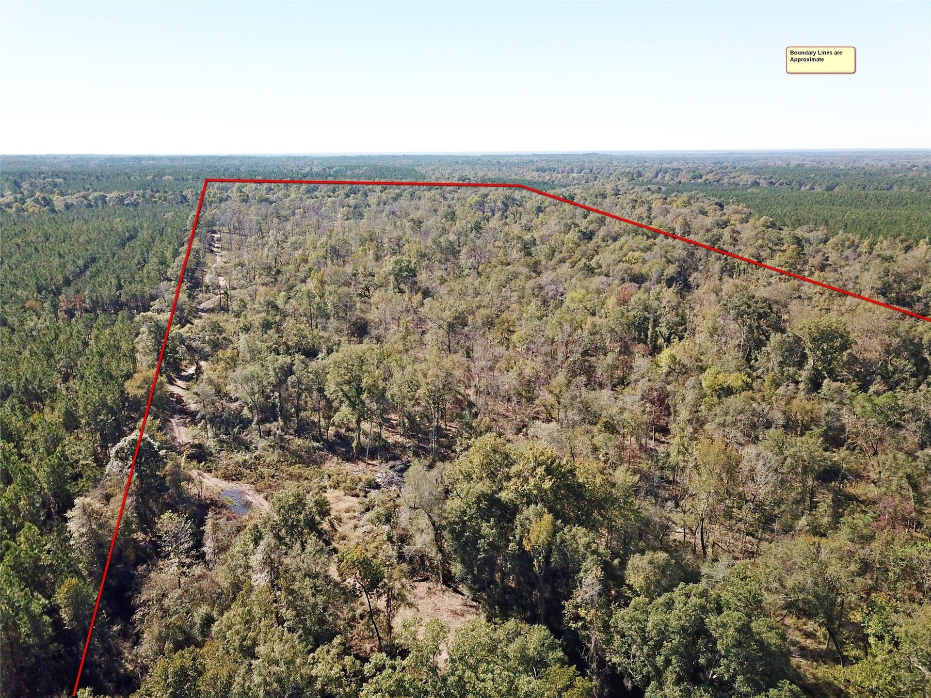 165.12 acres in Angelina County
