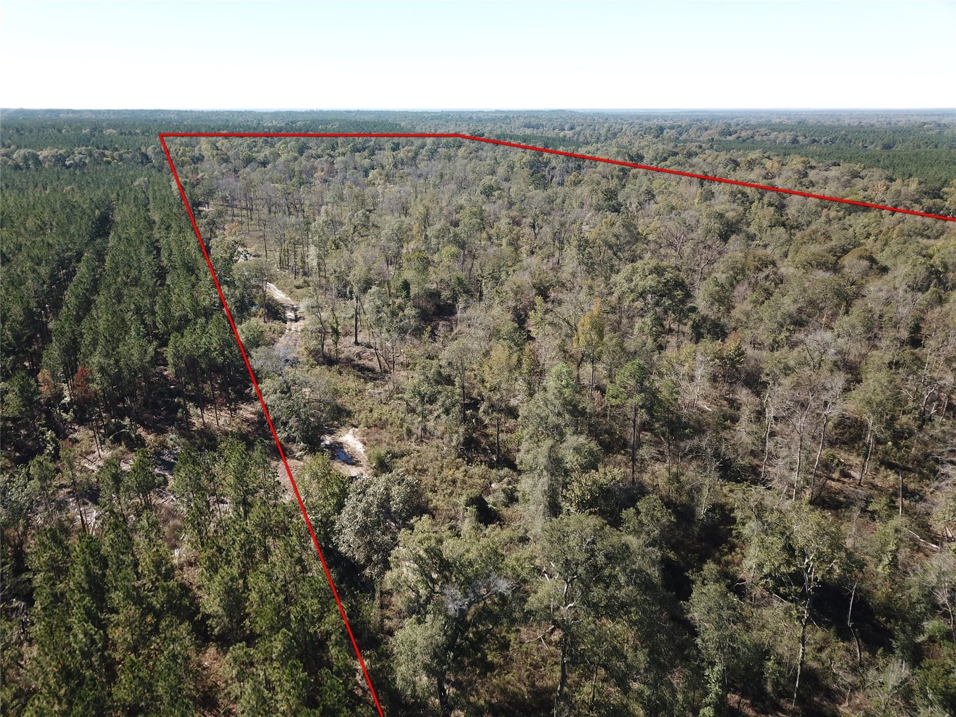 165.12 acres in Angelina County - photo 9