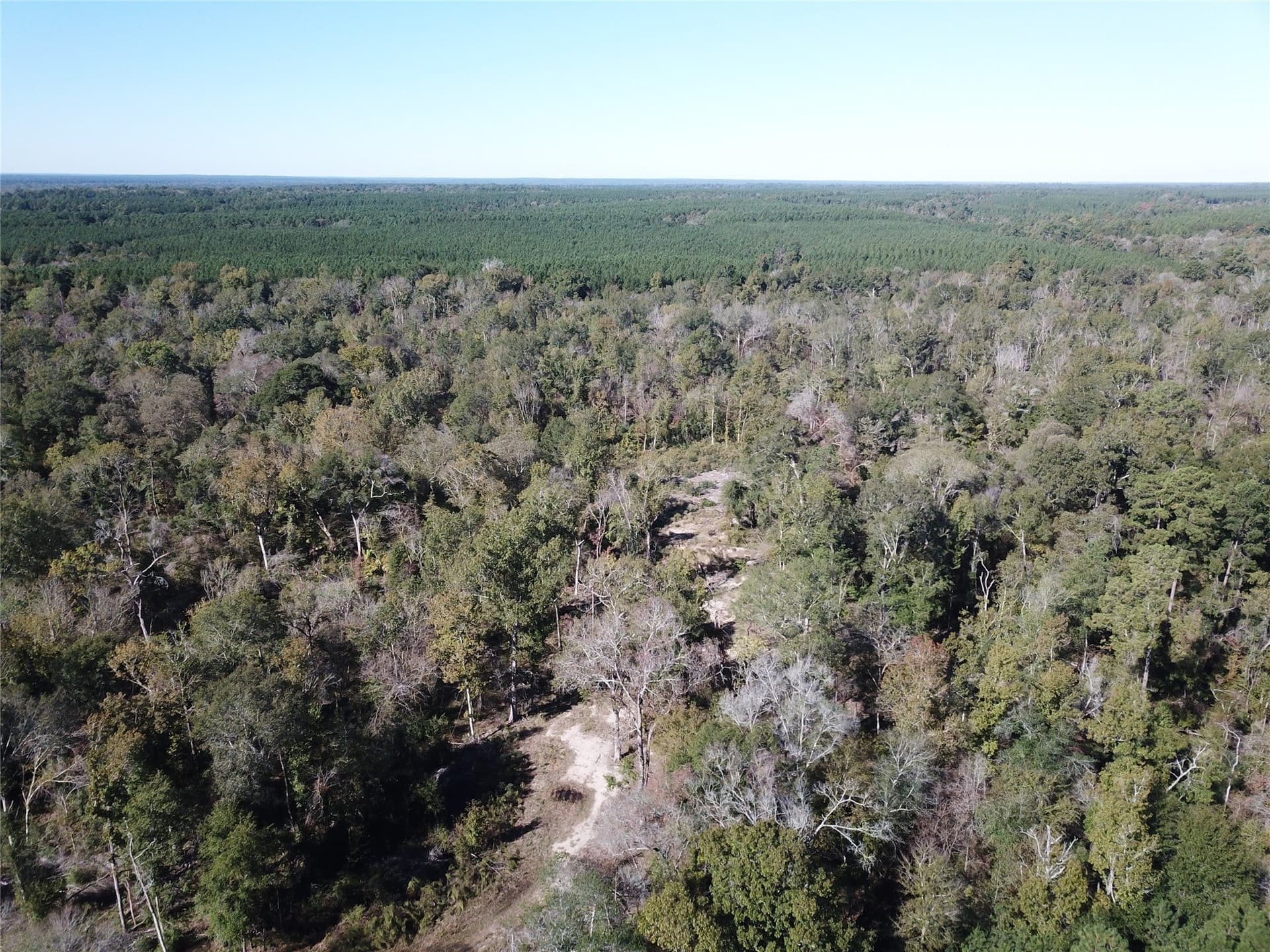 165.12 acres in Angelina County - photo 2