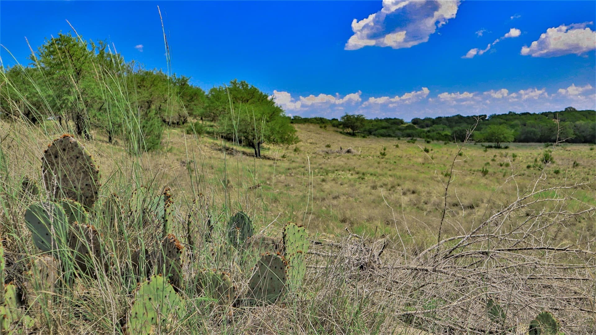 721.23 acres in Hood County gallery image 3