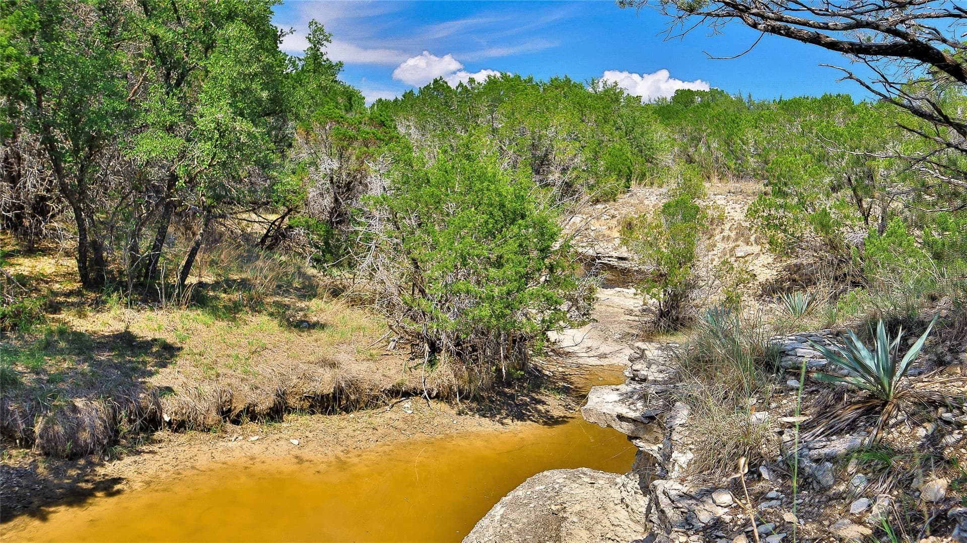 721.23 acres in Hood County gallery image 4