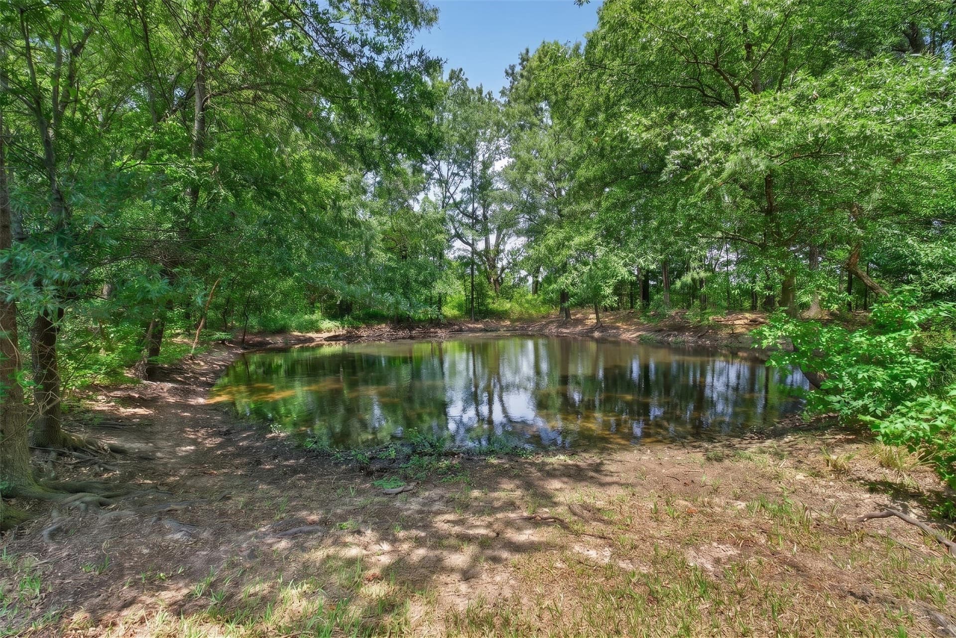 7.41 acres in Wood County - photo 27