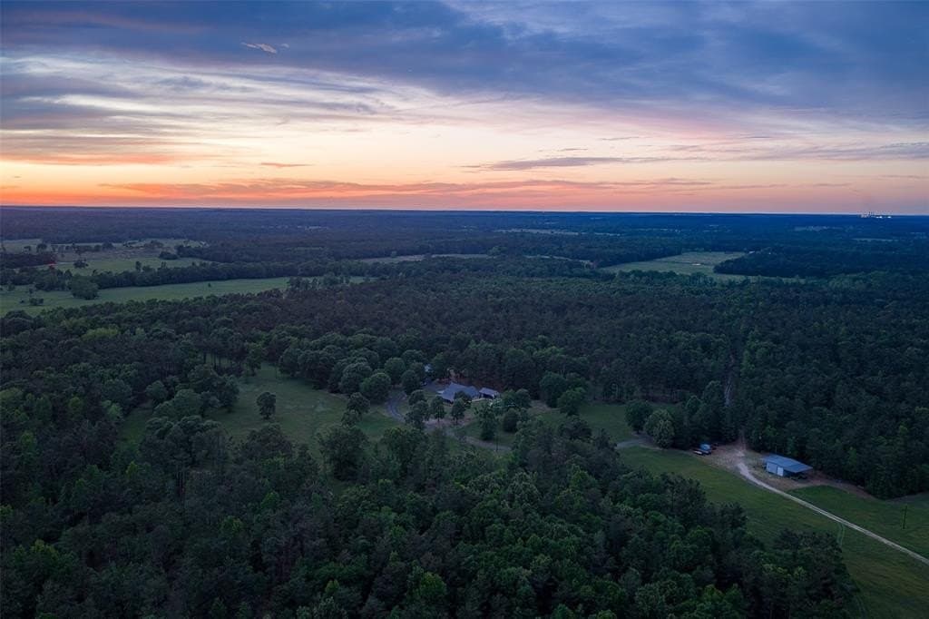 377 acres in Panola County gallery image 3