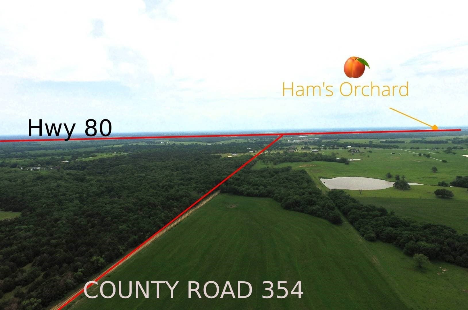 68.21 acres in Kaufman County - photo 2