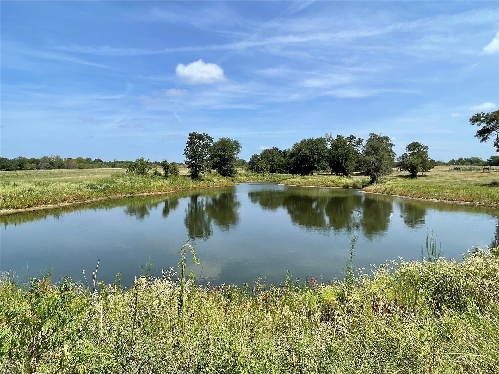 50 acres in Navarro County - photo 35