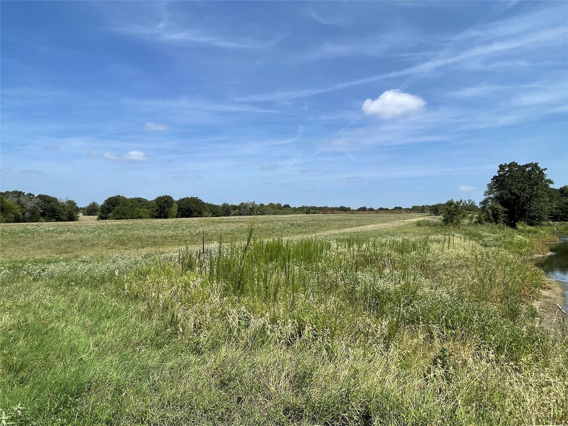 50 acres in Navarro County - photo 38