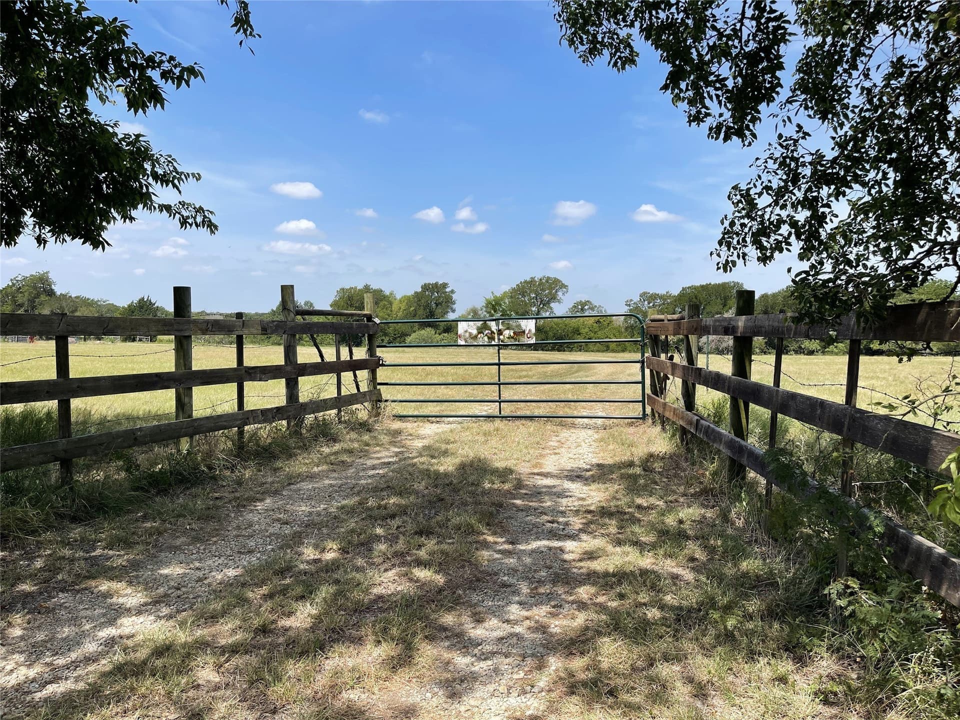 50 acres in Navarro County - photo 37