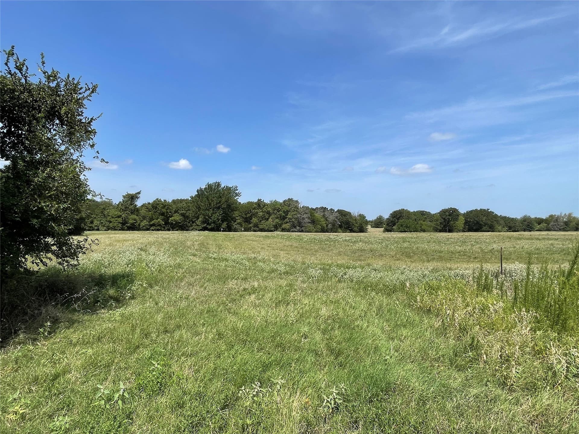 50 acres in Navarro County - photo 39