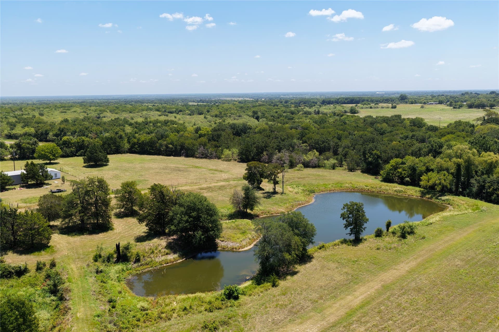 50 acres in Freestone County gallery image 3