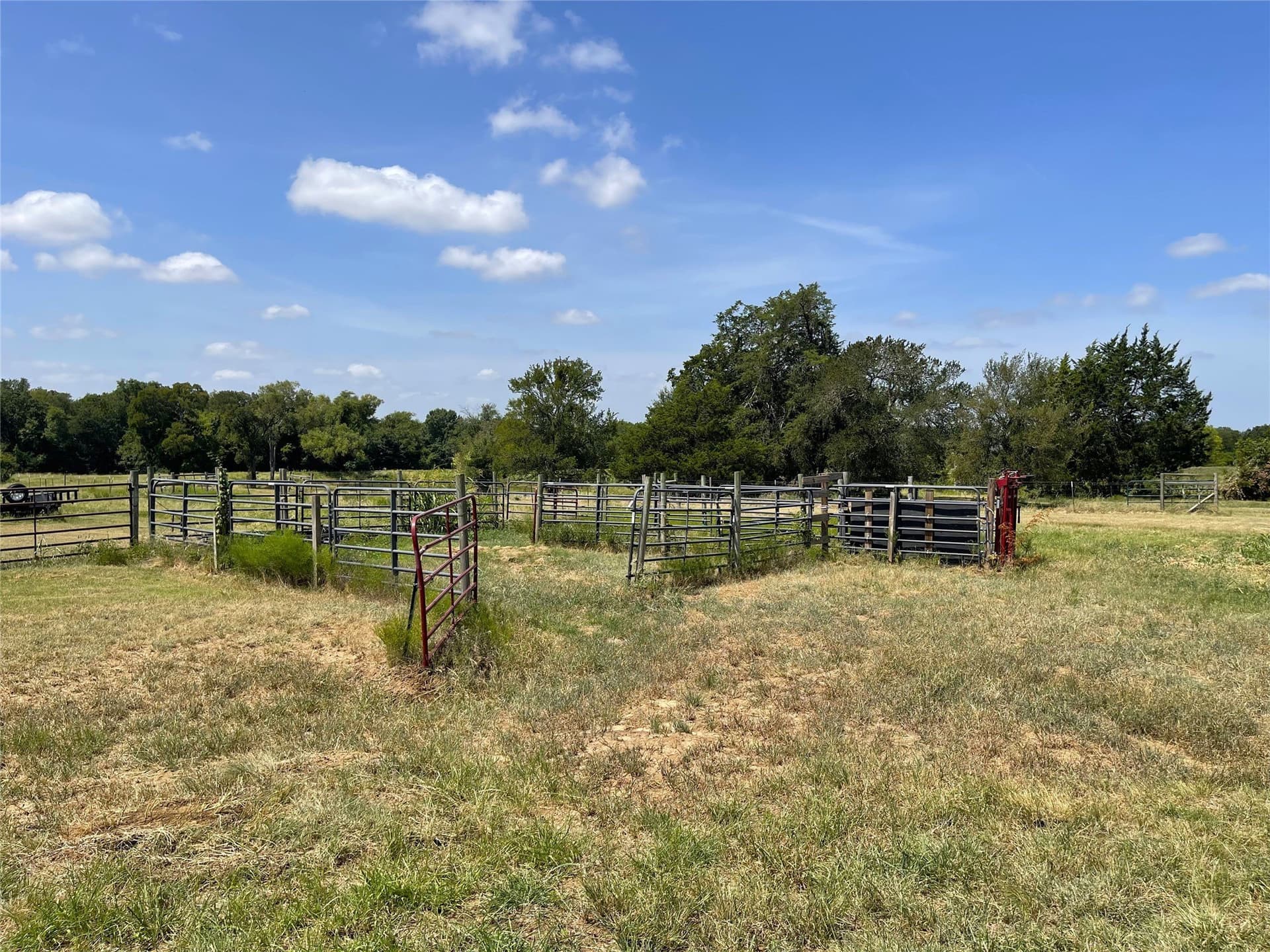 50 acres in Navarro County - photo 31