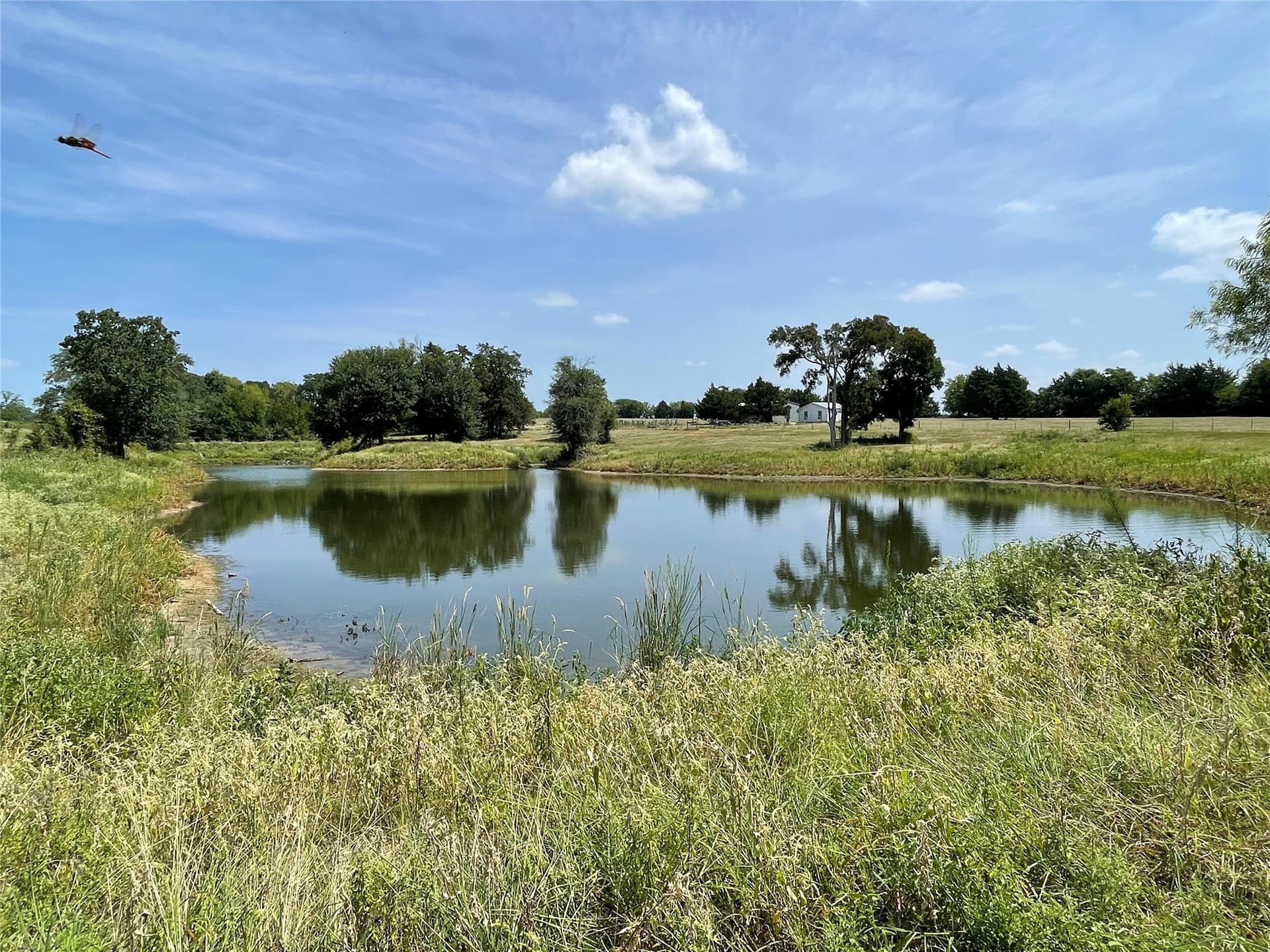 50 acres in Freestone County gallery image 4