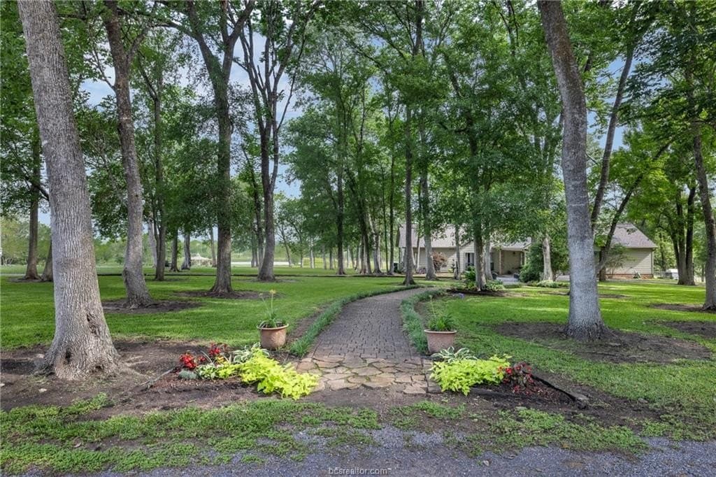21 acres in Washington County gallery image 2