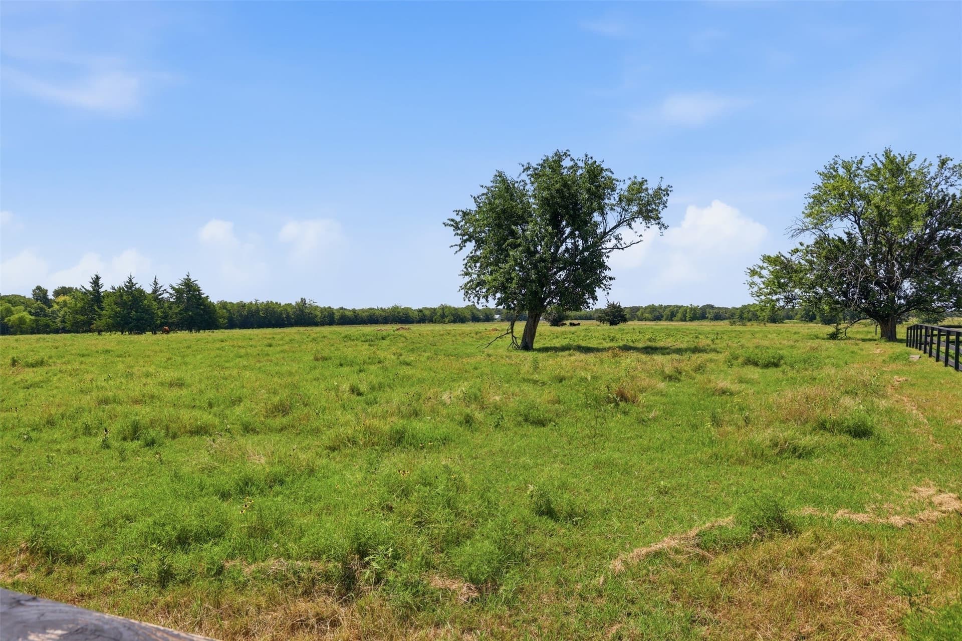 17.17 acres in Hopkins County - photo 29