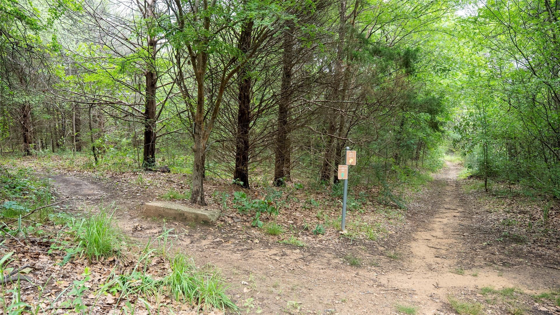 9.63 acres in Grayson County - photo 10