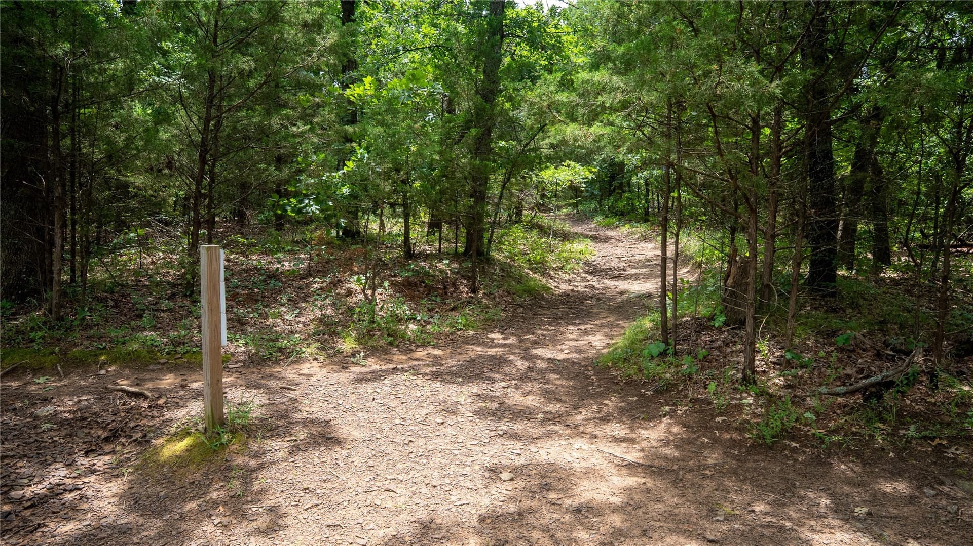9.63 acres in Grayson County - photo 9
