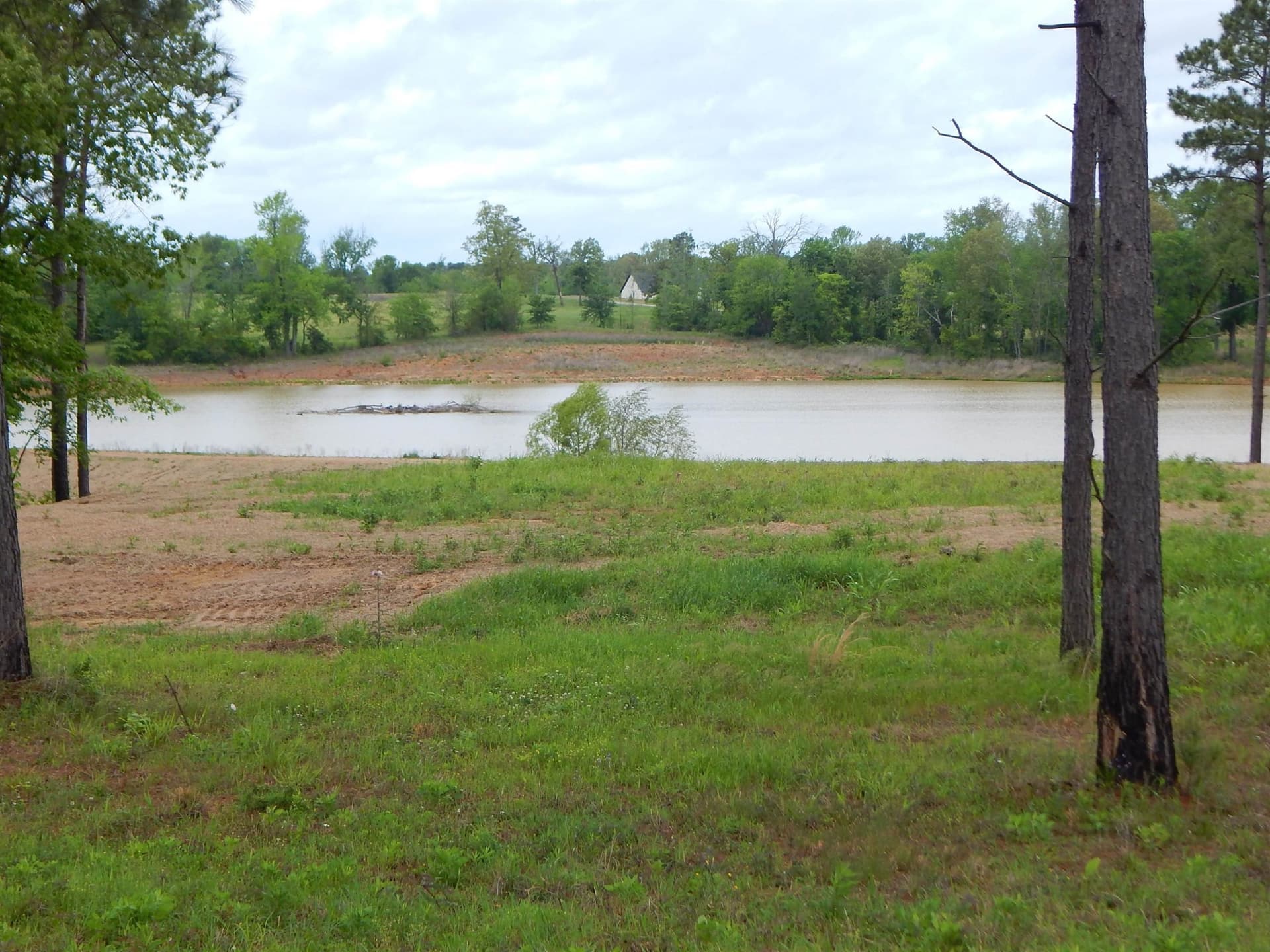 3.26 acres in Texas County gallery image 2