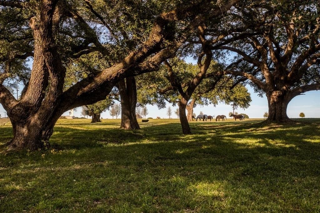 184 acres in Washington County gallery image 4