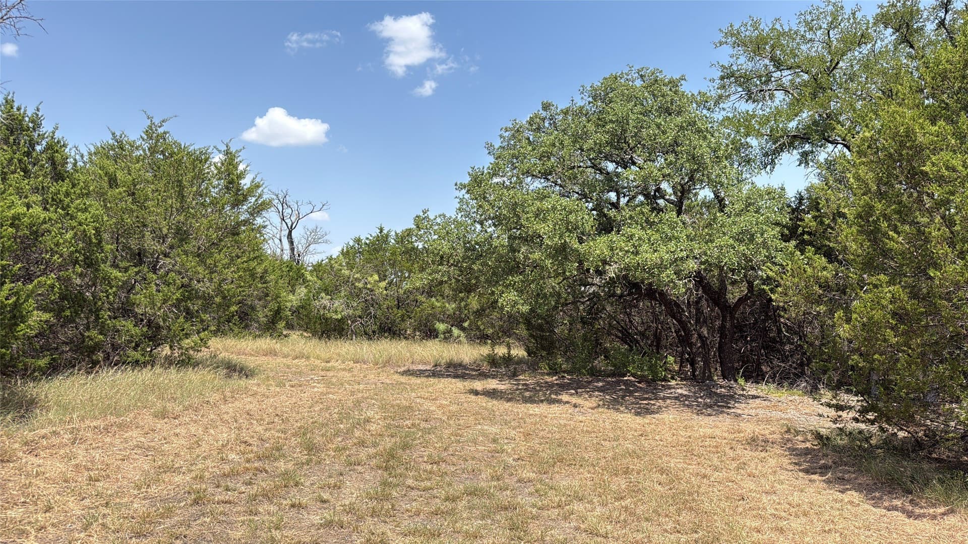 20.02 acres in Hamilton County - photo 13
