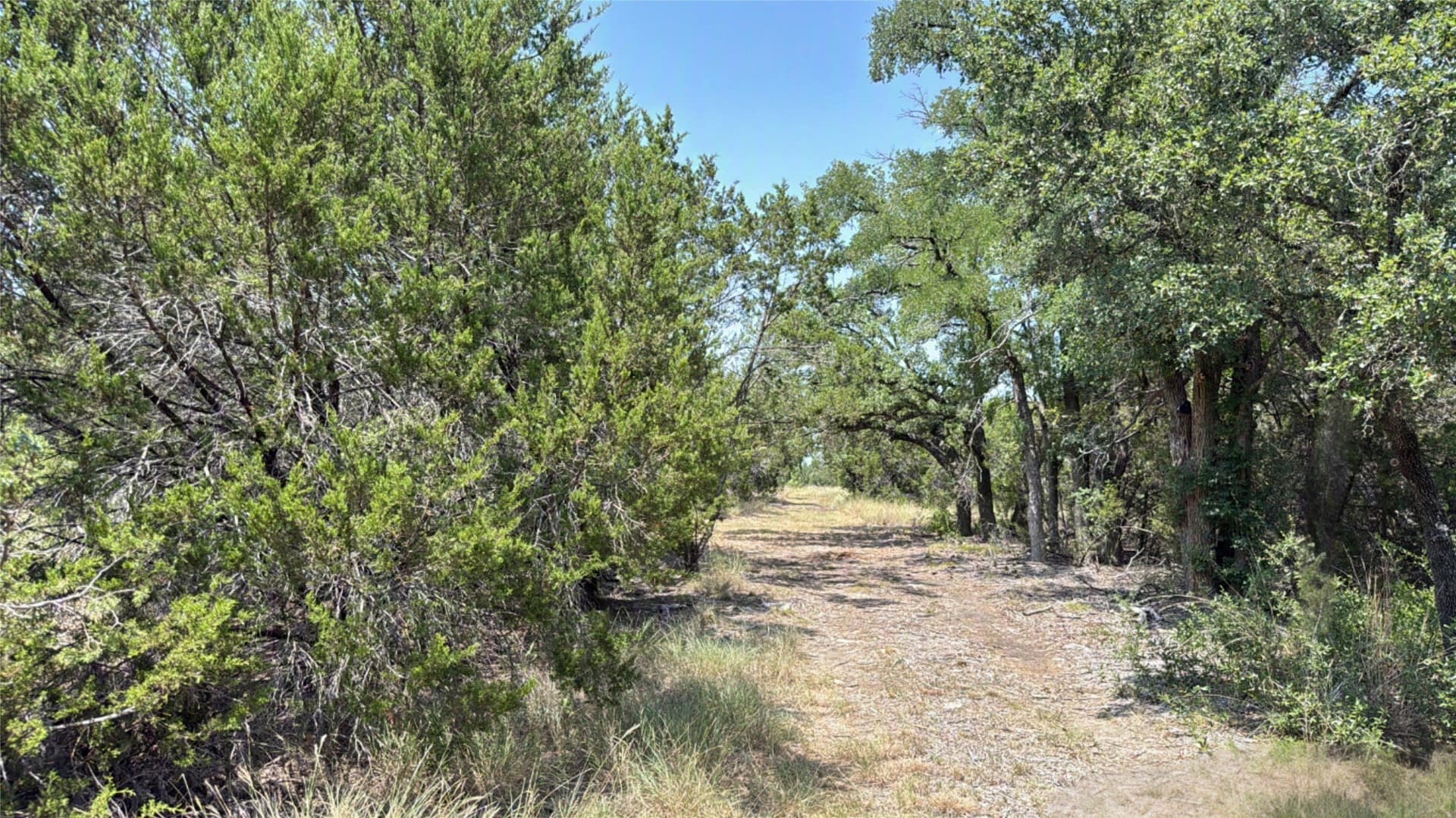 20.02 acres in Hamilton County - photo 12