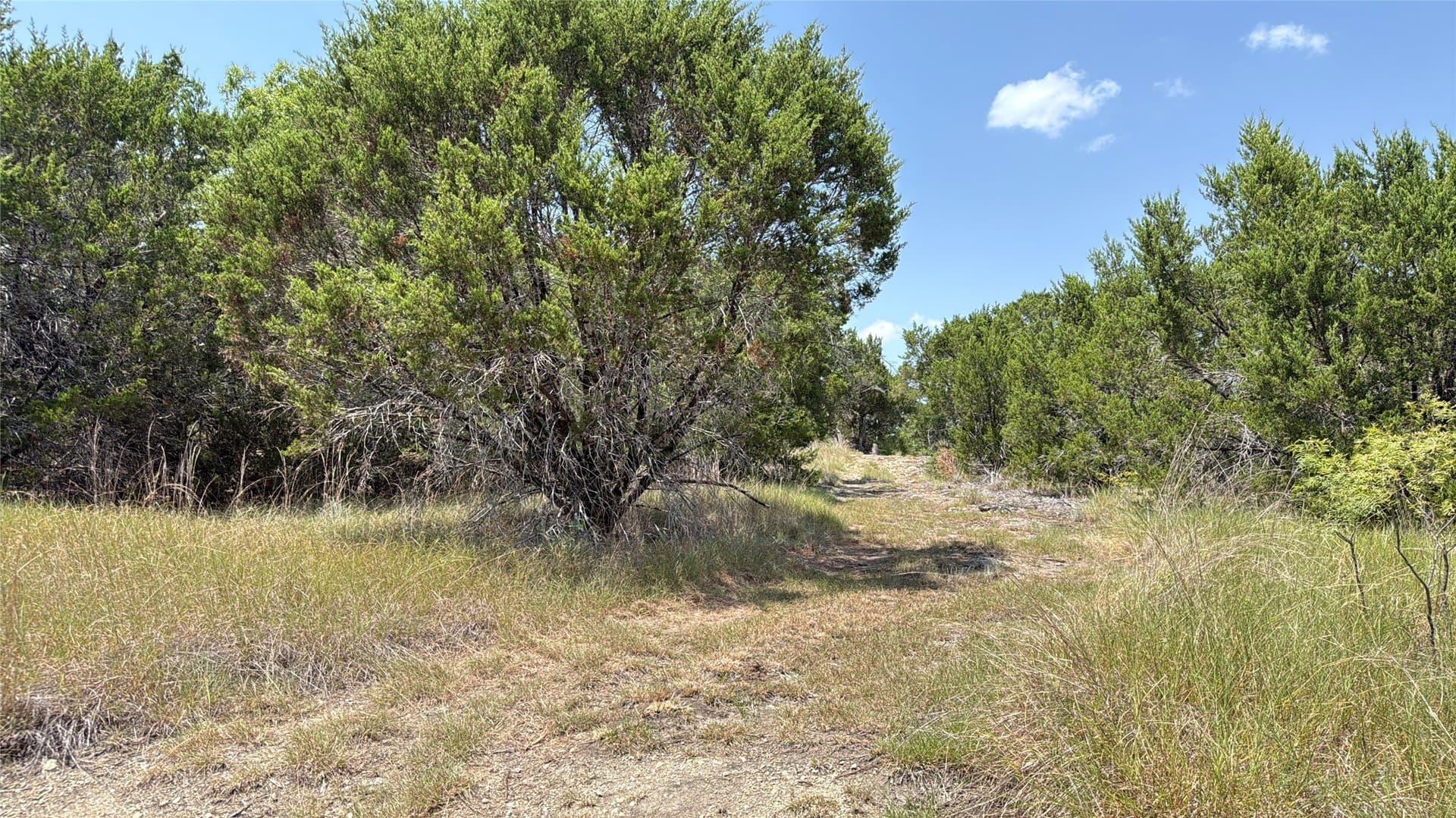 20.02 acres in Hamilton County - photo 10