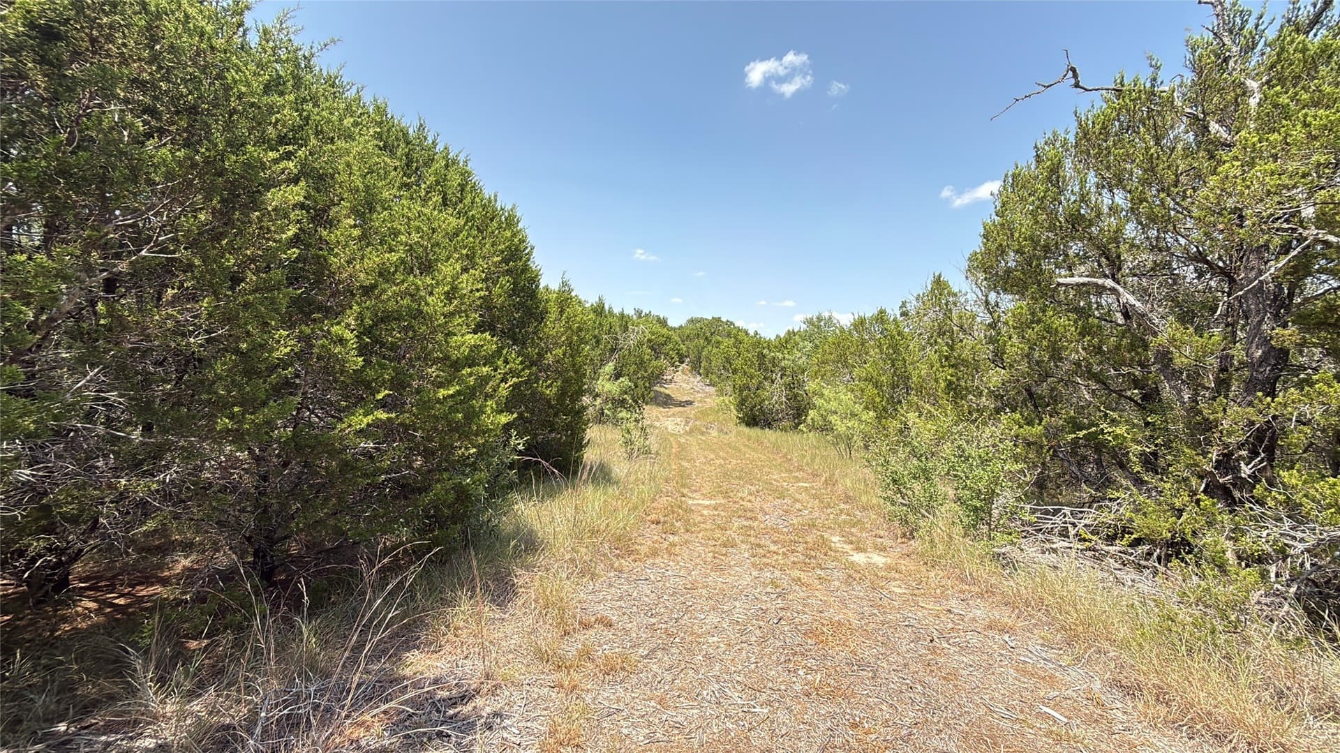 20.02 acres in Hamilton County - photo 4