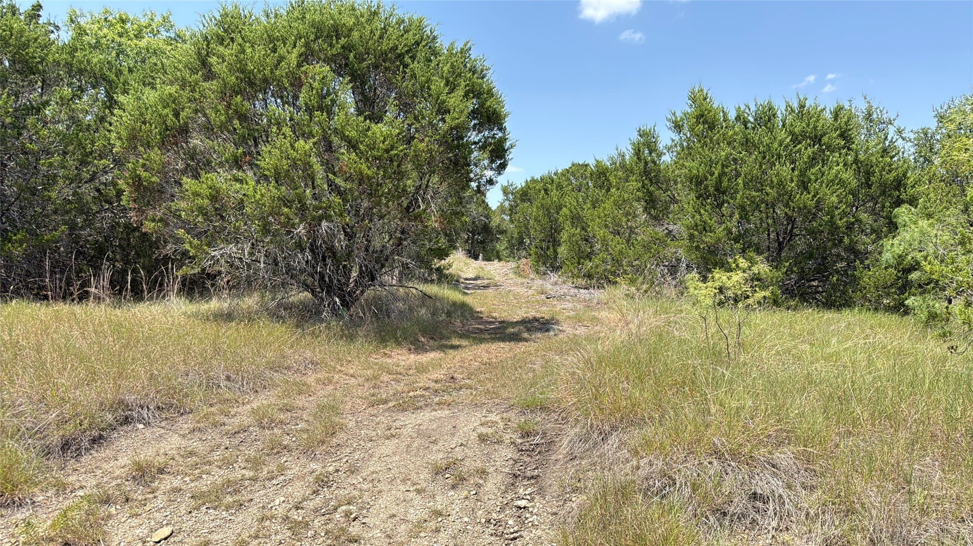 20.02 acres in Hamilton County - photo 8