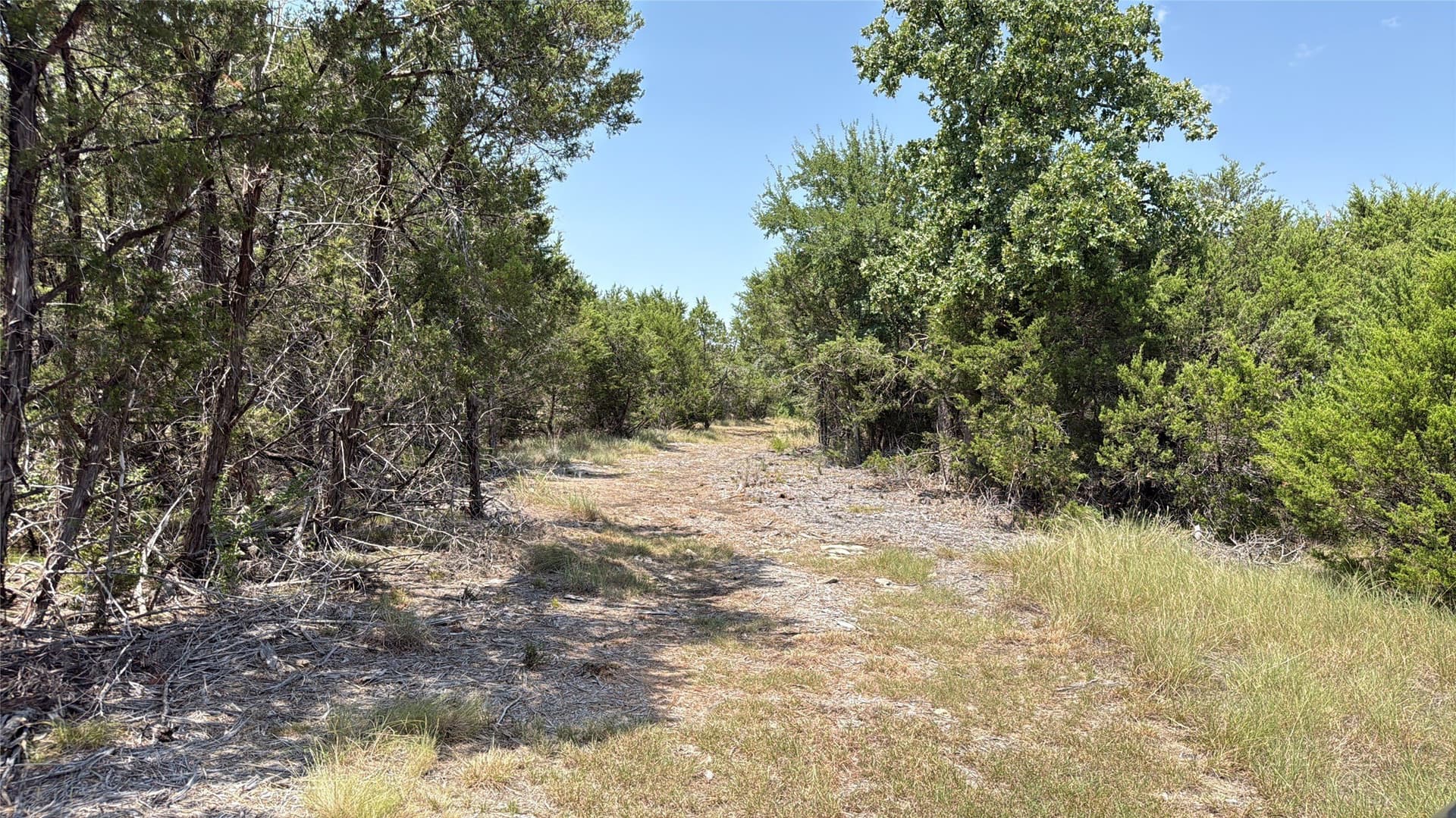 20.02 acres in Hamilton County - photo 11