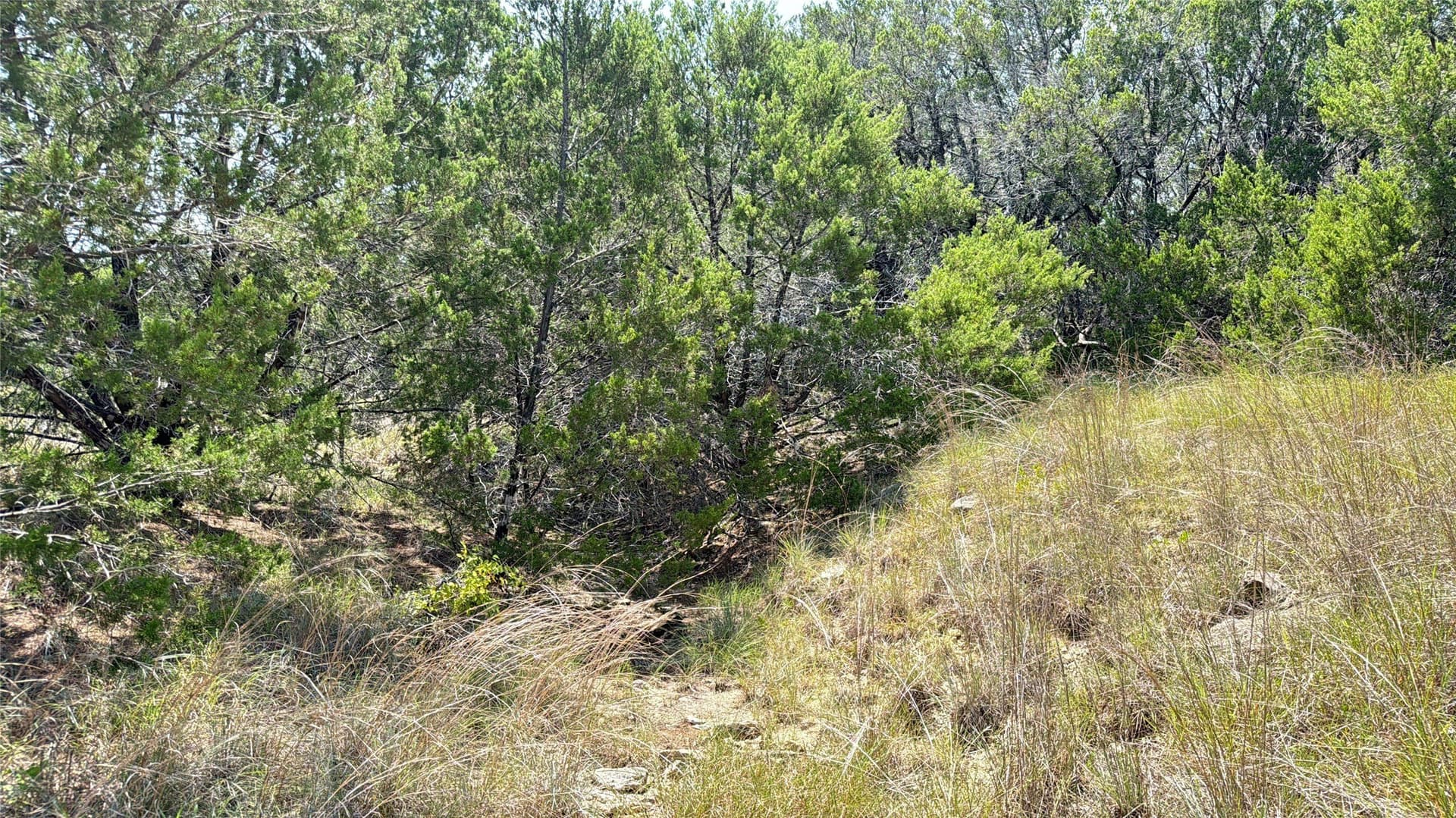 20.02 acres in Hamilton County - photo 6