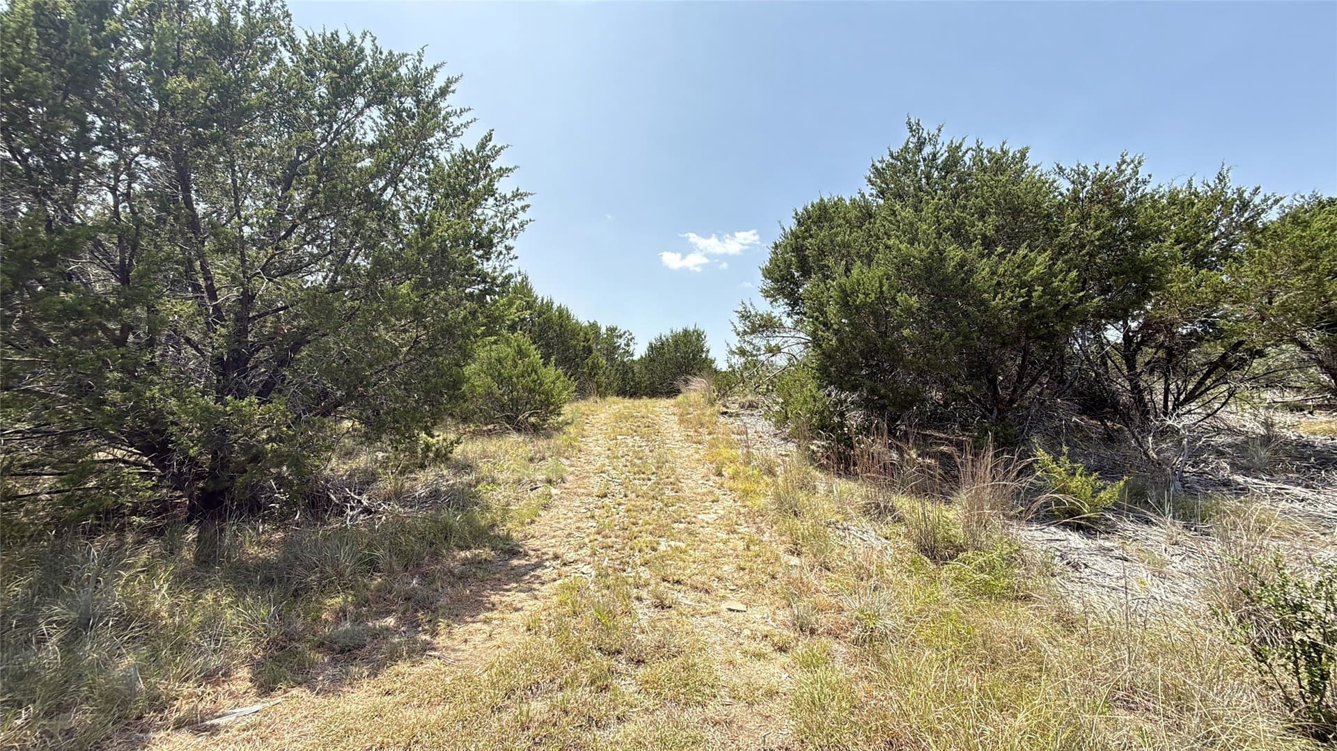 20.02 acres in Hamilton County - photo 3