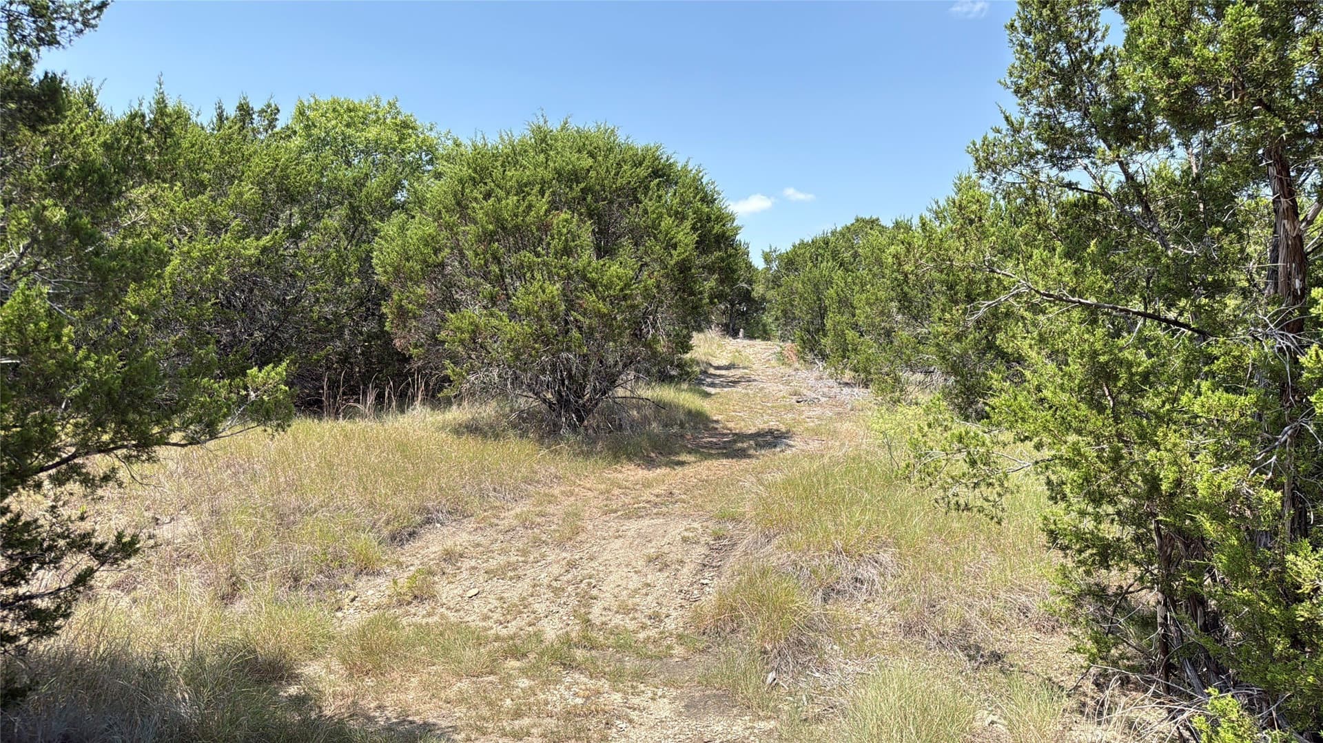 20.02 acres in Hamilton County - photo 9