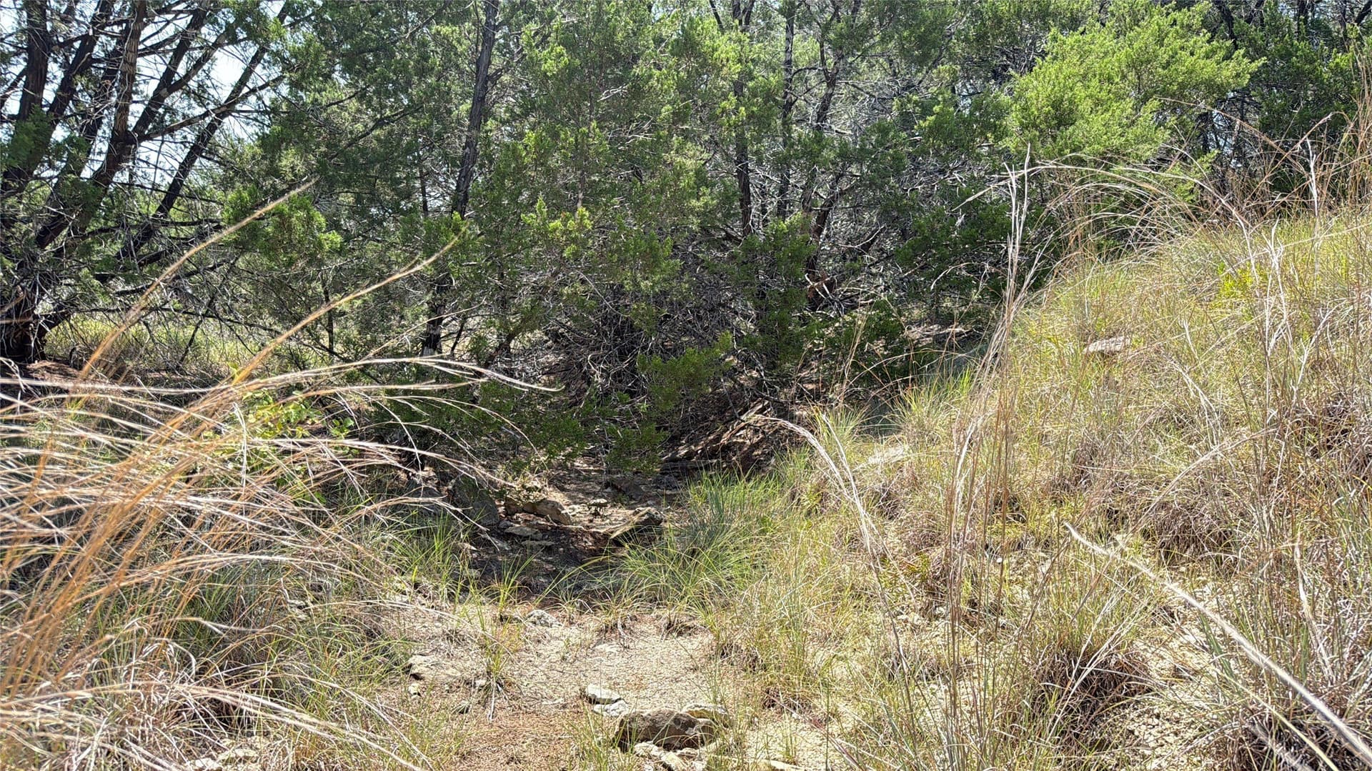 20.02 acres in Hamilton County - photo 7