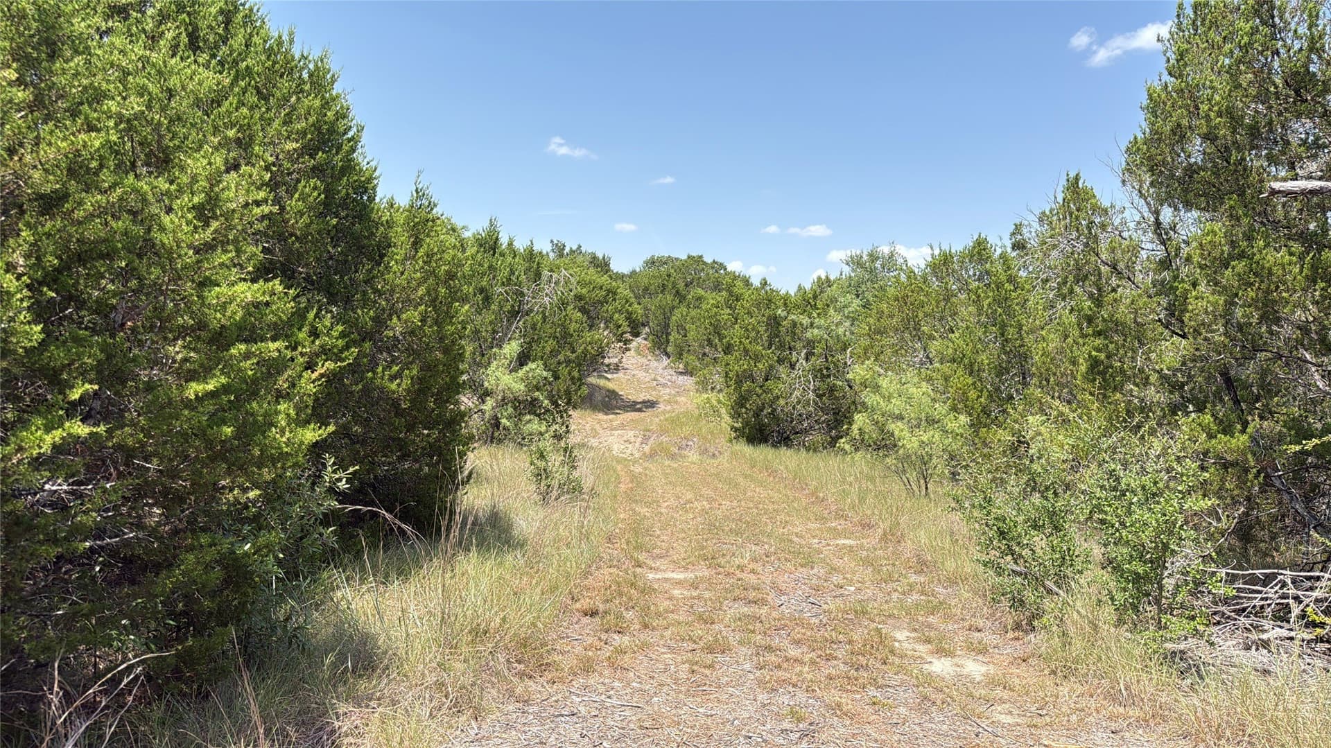 20.02 acres in Hamilton County - photo 5