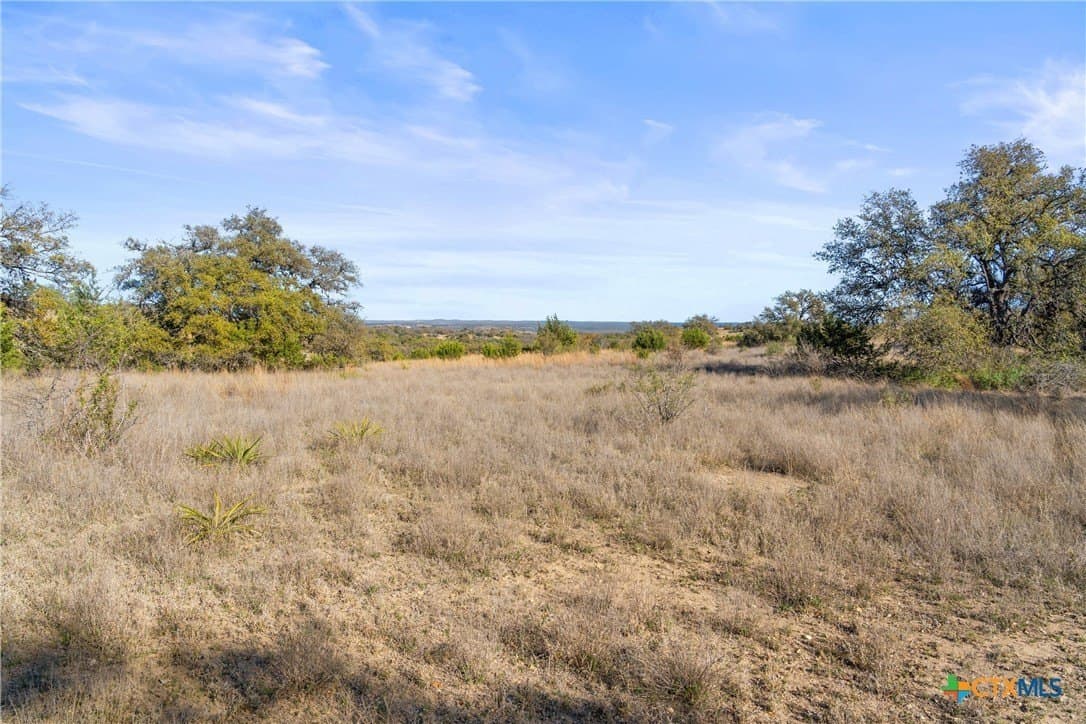 6.29 acres in Blanco County - photo 5