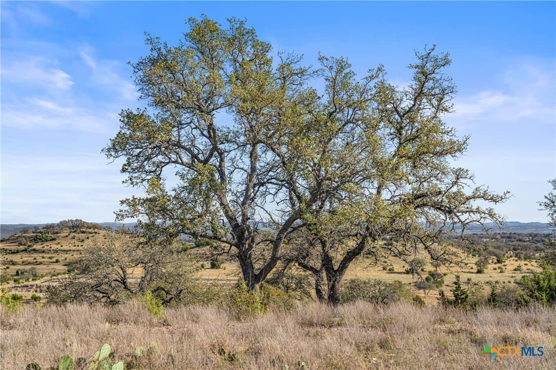 6.29 acres in Blanco County - photo 12