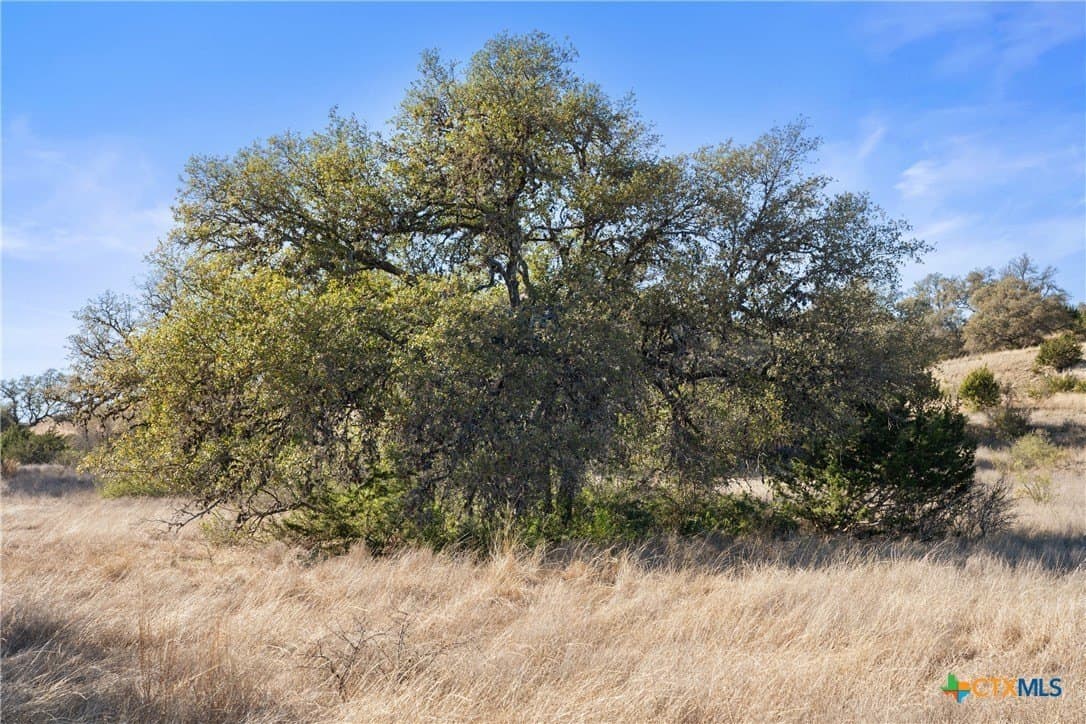 6.29 acres in Blanco County - photo 6