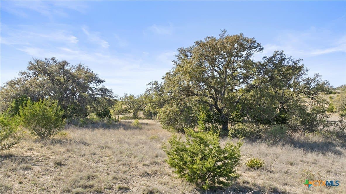6.29 acres in Blanco County - photo 22