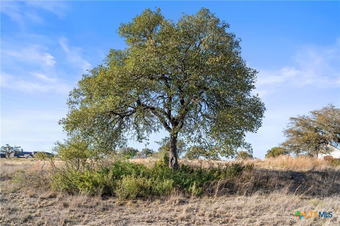 6.29 acres in Blanco County - photo 13
