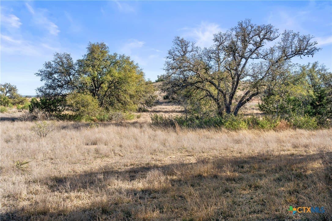 6.29 acres in Blanco County - photo 4