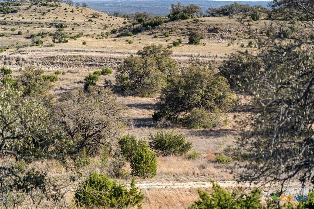 6.29 acres in Blanco County - photo 9